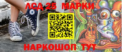 гидропоника Будённовск