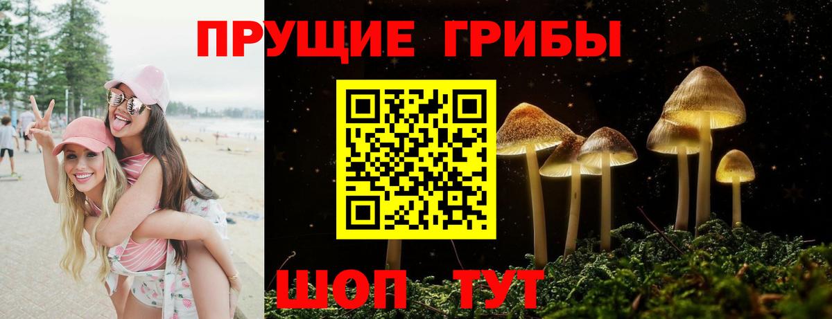 Минеральные Воды  Псилоцибиновые грибы Cubensis  Вход с VPN 